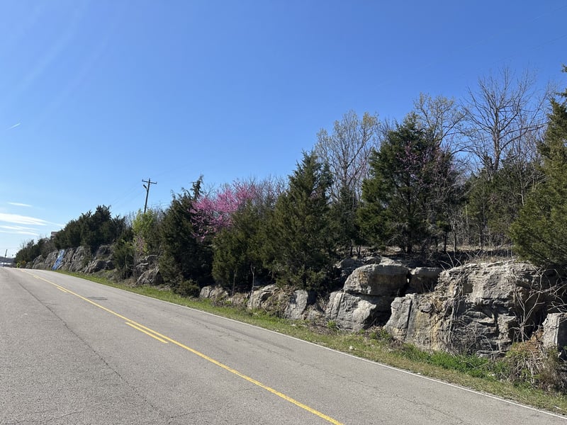 Wildcat Way, Lebanon, TN 37090