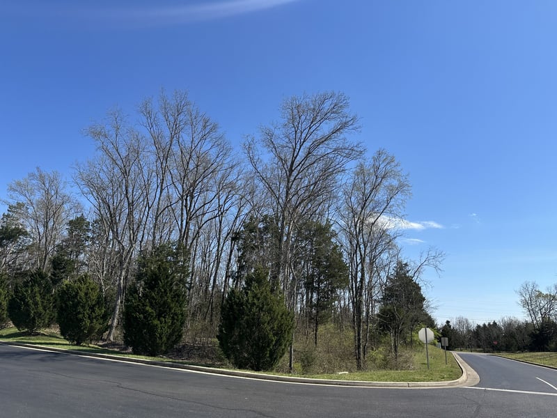 Wildcat Way, Lebanon, TN 37090