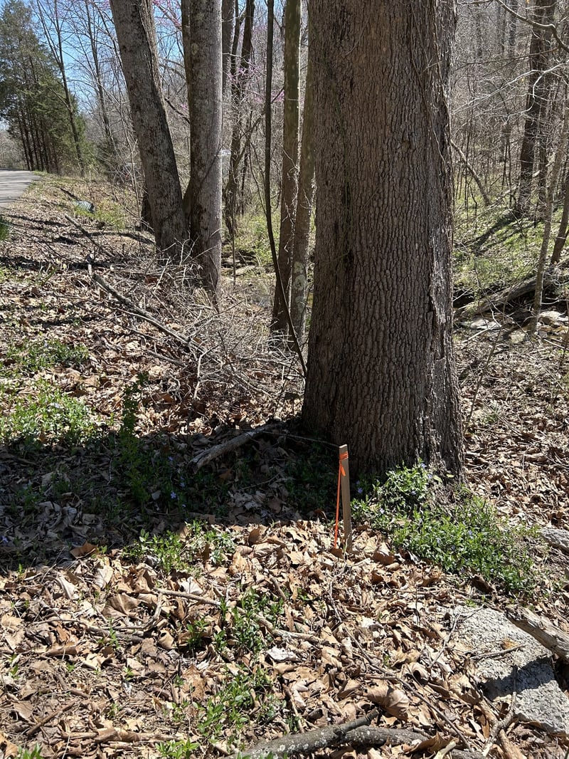 820 Lucas Rd, Dickson, TN 37055