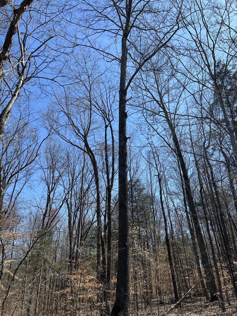 820 Lucas Rd, Dickson, TN 37055