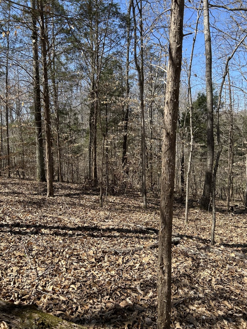 820 Lucas Rd, Dickson, TN 37055