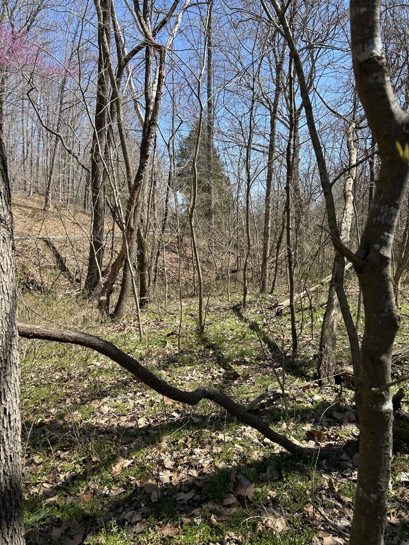 820 Lucas Rd, Dickson, TN 37055