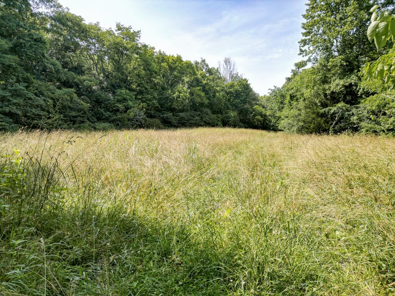 0 Choctaw Rd, College Grove, TN 37046