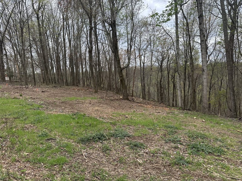 0 Maggart Rd, Elmwood, TN 38560