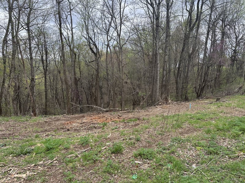 0 Maggart Rd, Elmwood, TN 38560