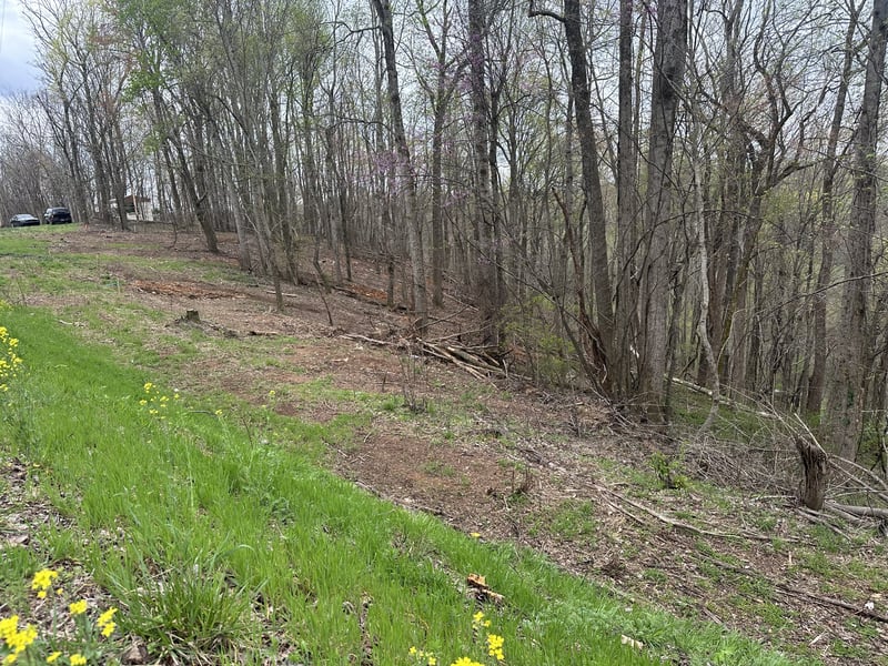 0 Maggart Rd, Elmwood, TN 38560