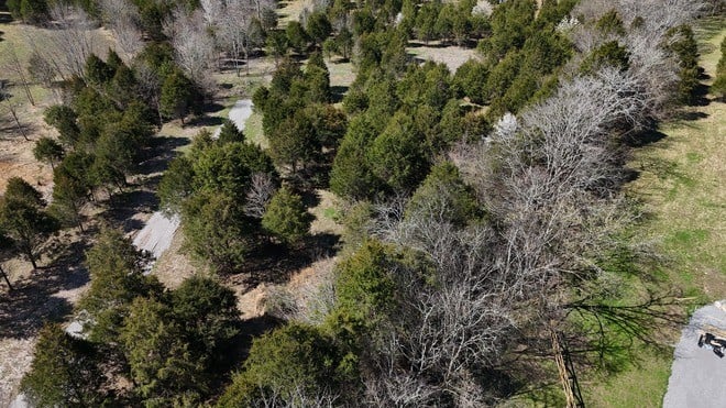 406A Harsh Ln, Castalian Springs, TN 37031