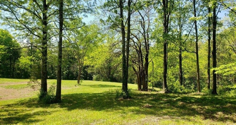 2734 Lanton Schoolhouse Rd, Spring Hill, TN 37174