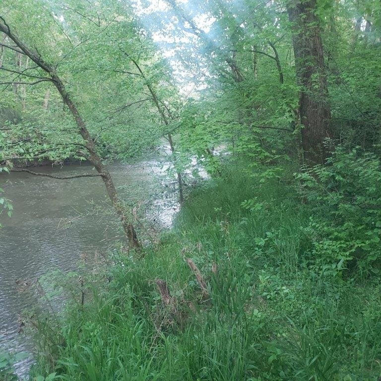 2734 Lanton Schoolhouse Rd, Spring Hill, TN 37174