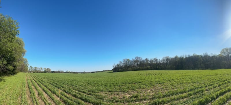 4838 Hwy 31w, Cottontown, TN 37048