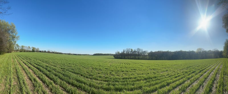 4838 Hwy 31w, Cottontown, TN 37048