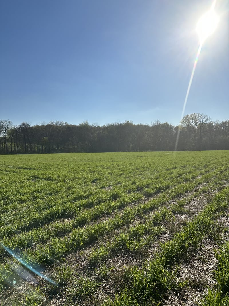 4838 Hwy 31w, Cottontown, TN 37048