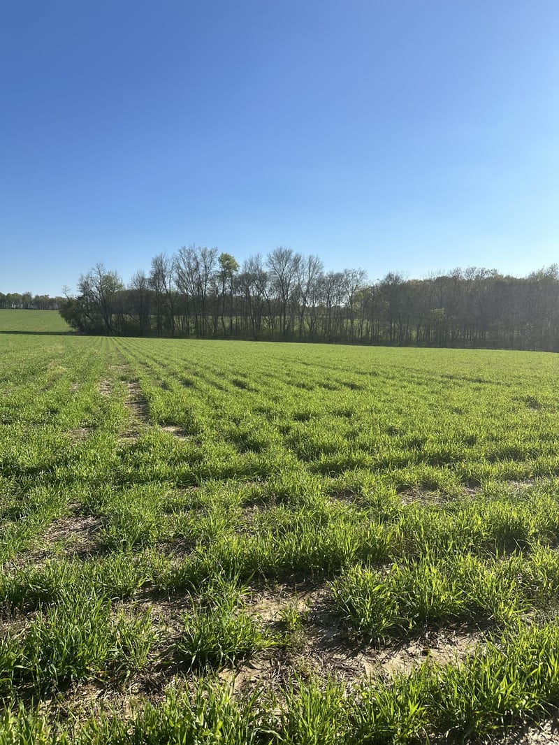 4838 Hwy 31w, Cottontown, TN 37048