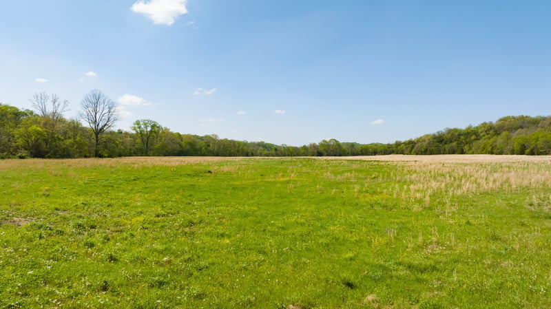 Pee Dee Branch Rd Lot 2-9, Cottontown, TN 37048