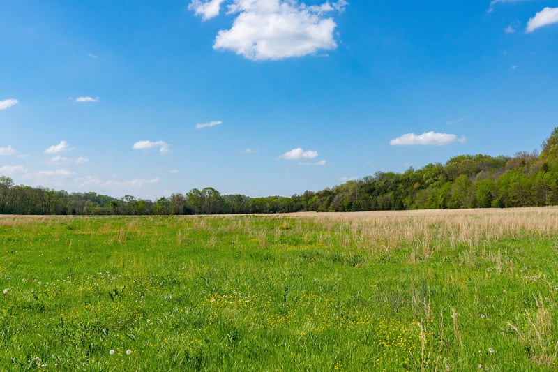 Pee Dee Branch Rd Lot 2-9, Cottontown, TN 37048