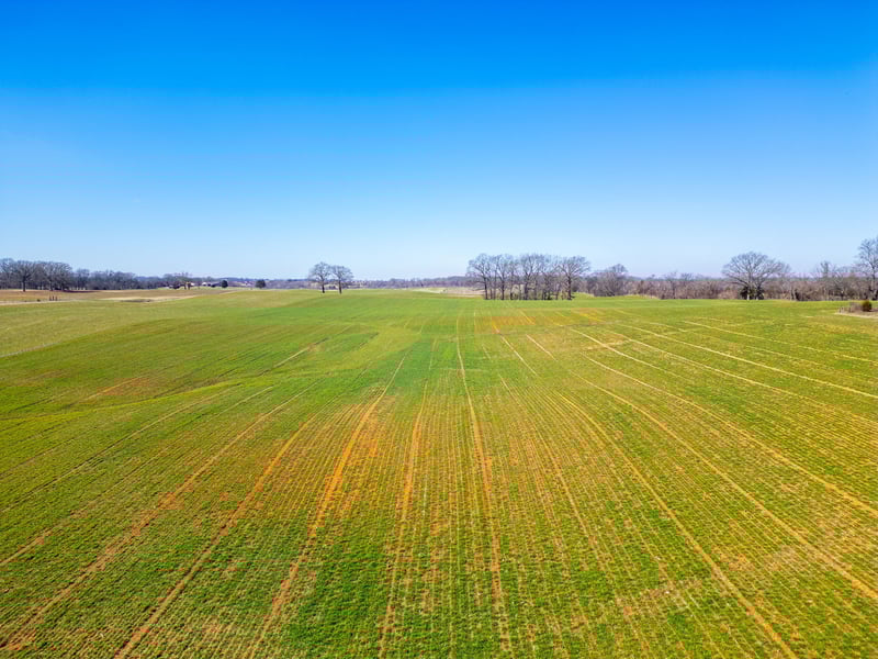 1 Smith Rd, Cedar Hill, TN 37032