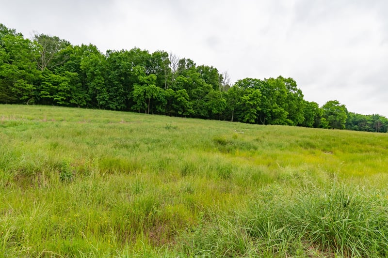 0 Giles Hill Rd, College Grove, TN 37046