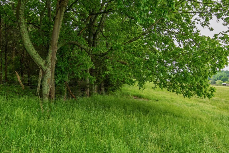 0 Giles Hill Rd, College Grove, TN 37046