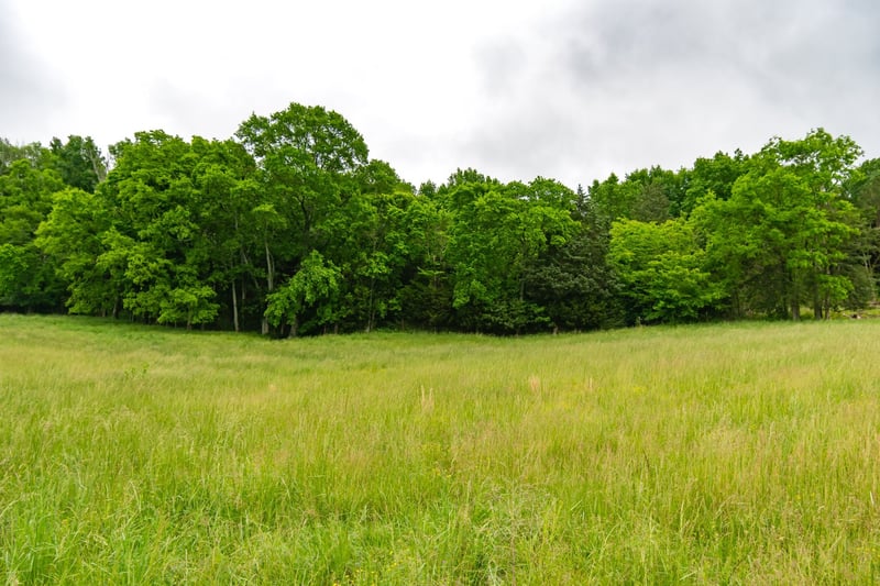 0 Giles Hill Rd, College Grove, TN 37046