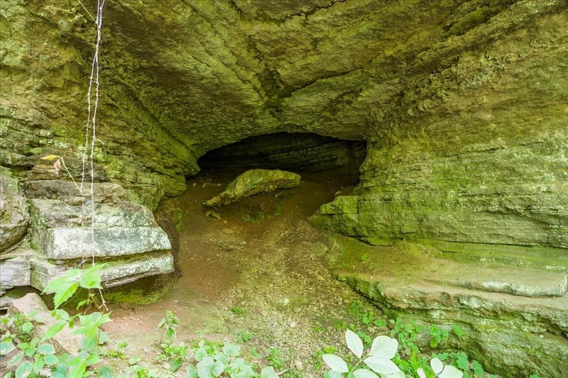 0 Burks Hollow Rd, Christiana, TN 37037