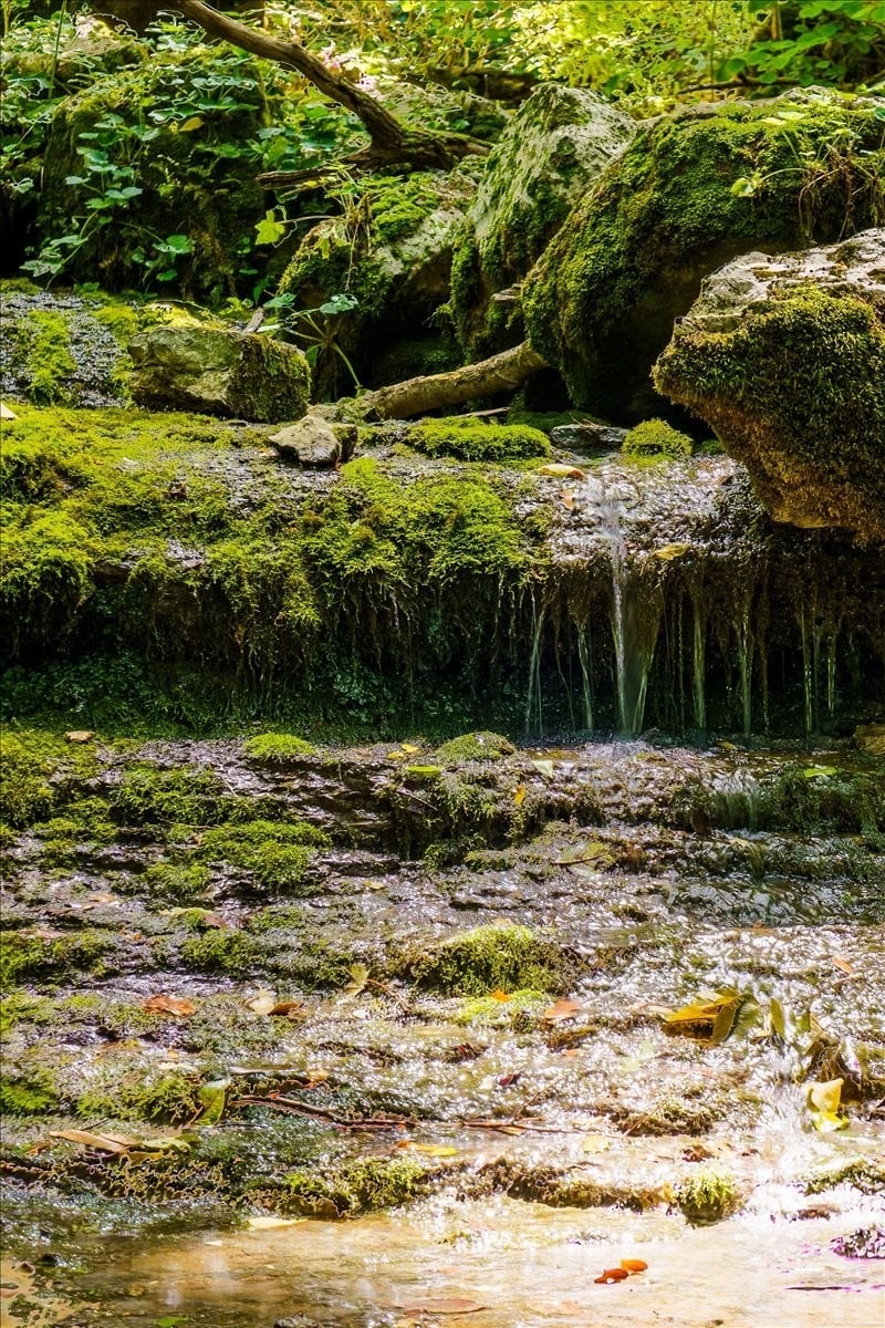 0 Burks Hollow Rd, Christiana, TN 37037