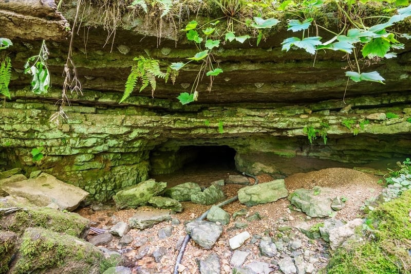 0 Burks Hollow Rd, Christiana, TN 37037