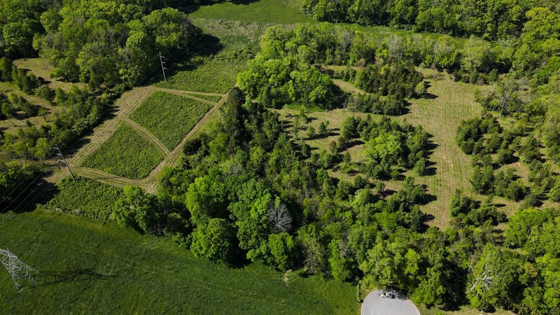 691 Green Hill Blvd, Brentwood, TN 37027