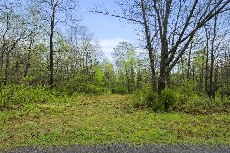 2 J Bourne Rd, Adams, TN 37010