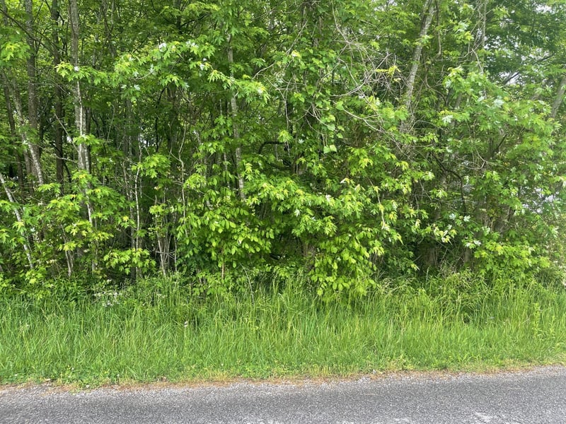 0 Kathleen Dr, Cedar Hill, TN 37032