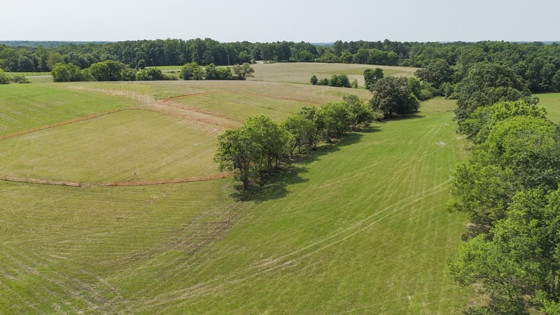 0 Shoals Branch Rd, Primm Springs, TN 38476