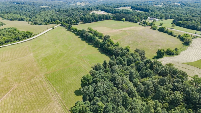 0 Shoals Branch Rd, Primm Springs, TN 38476