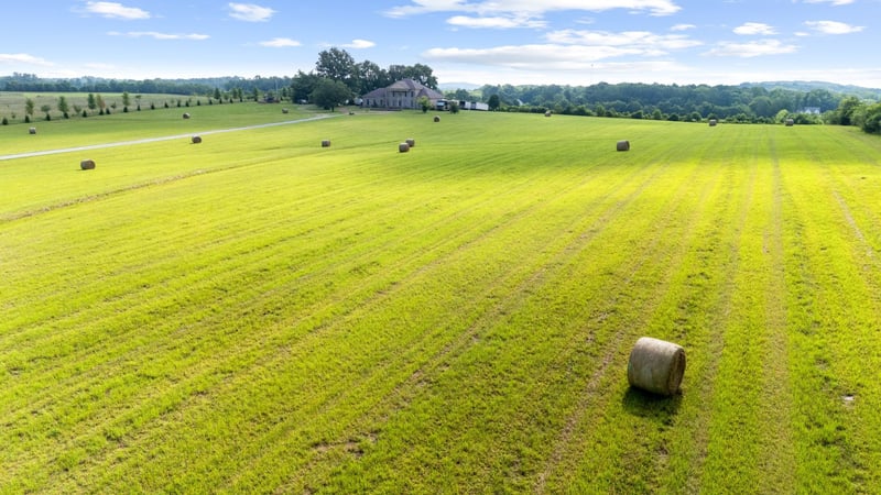 6286 Cox Rd, Arrington, TN 37014