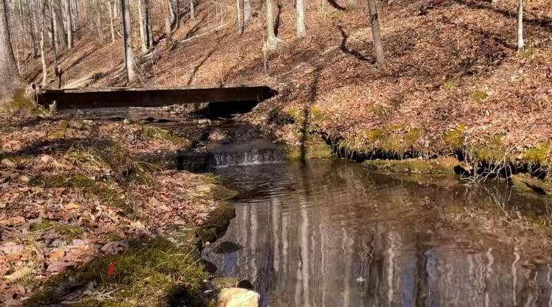 0 Barnhill Rd, Primm Springs, TN 38476