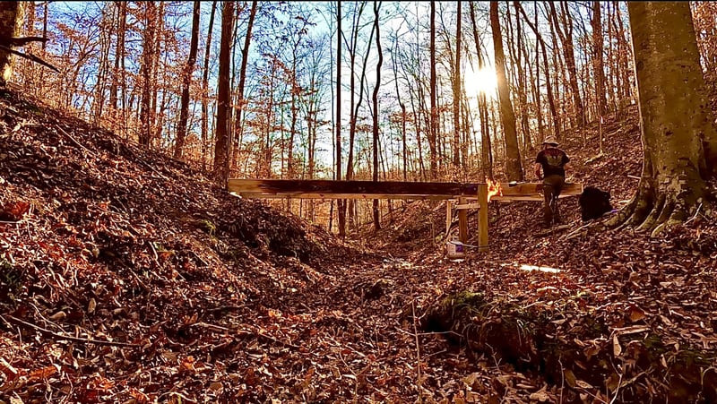 0 Barnhill Rd, Primm Springs, TN 38476