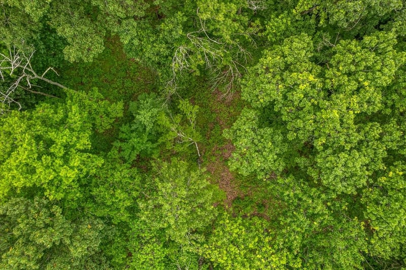 0 Cane Ridge Rd, Antioch, TN 37013