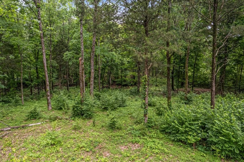 0 Cane Ridge Rd, Antioch, TN 37013