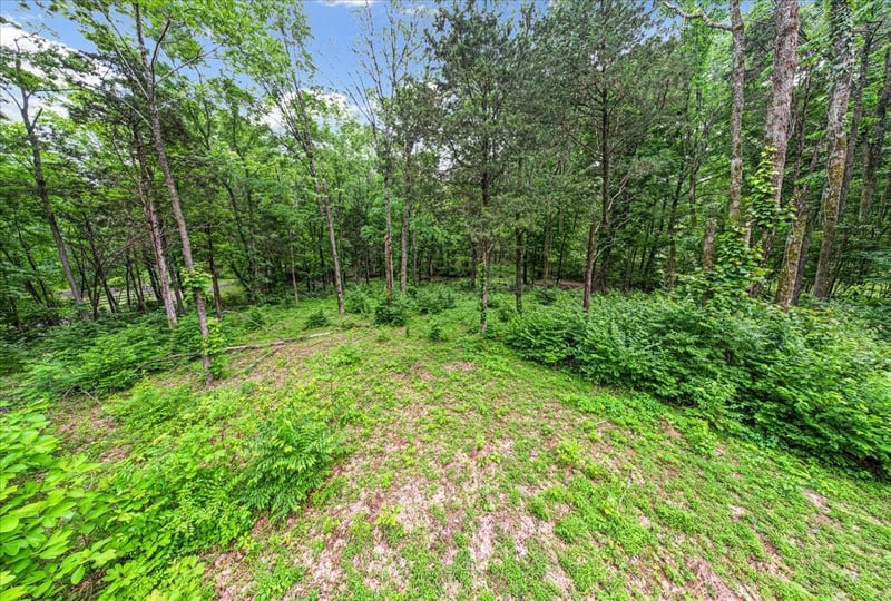 0 Cane Ridge Rd, Antioch, TN 37013