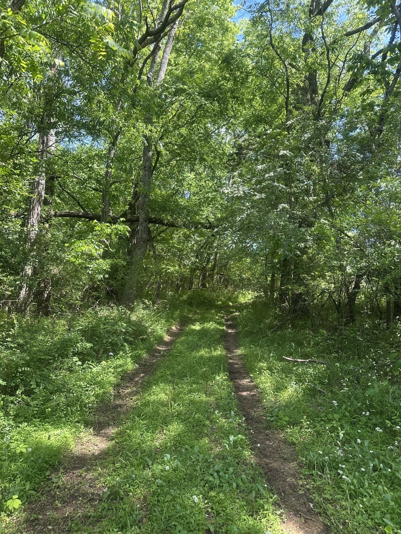 0 Greens Mill Rd, Spring Hill, TN 37174