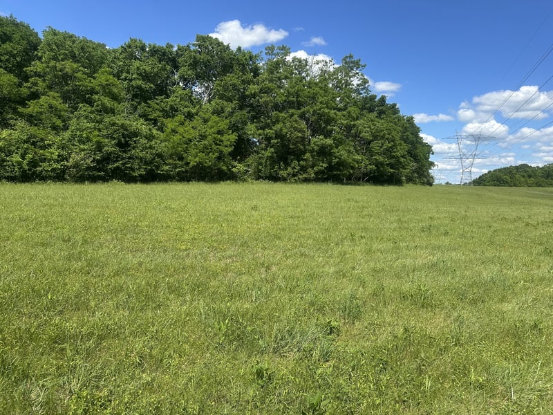 0 Greens Mill Rd, Spring Hill, TN 37174