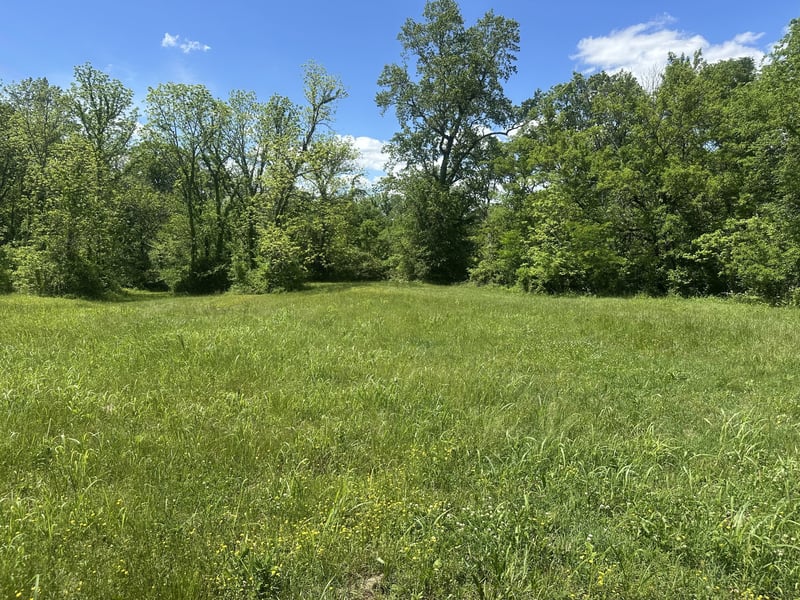 Greens Mill Rd, Spring Hill, TN 37174