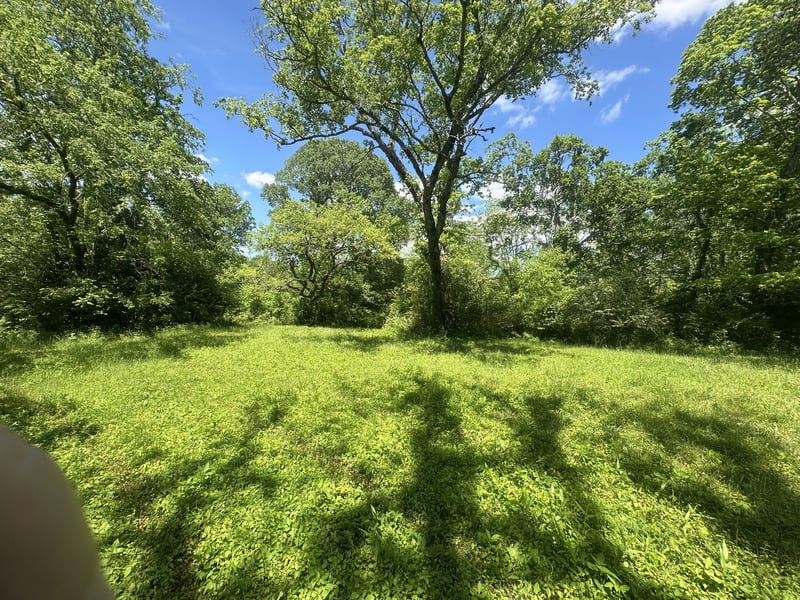 Greens Mill Rd, Spring Hill, TN 37174
