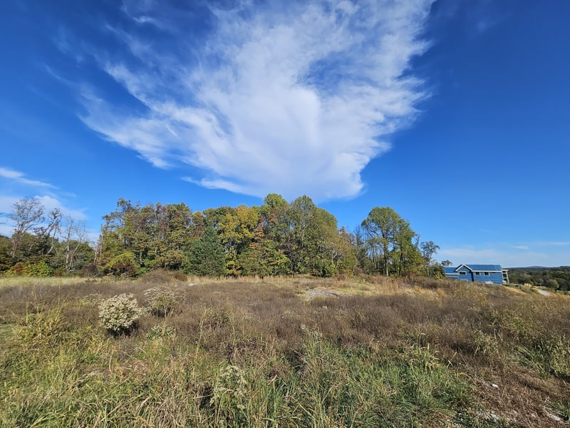 9626 Concord Rd Lot 3, Brentwood, TN 37027