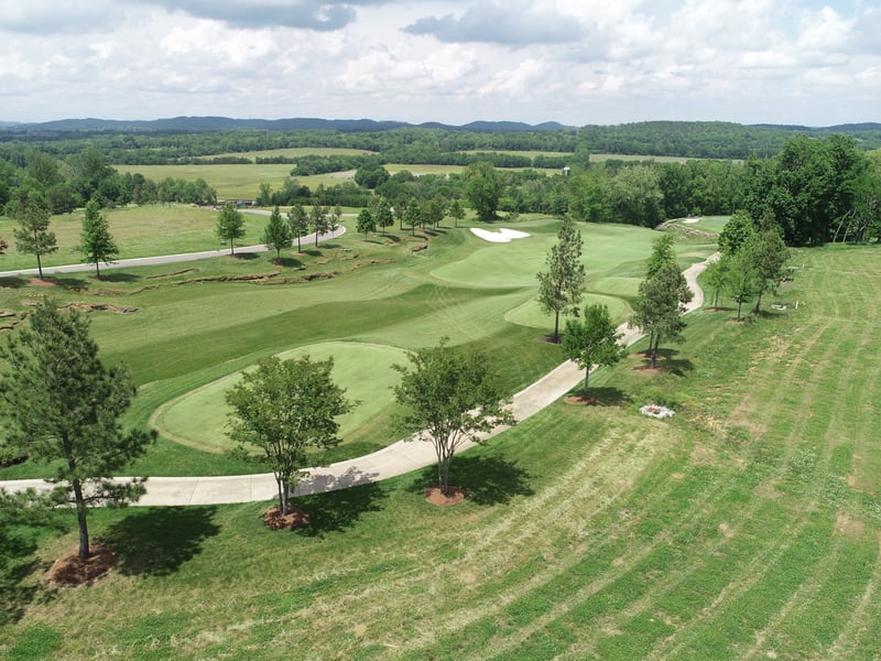 8005 George Jones Ln, College Grove, TN 37046