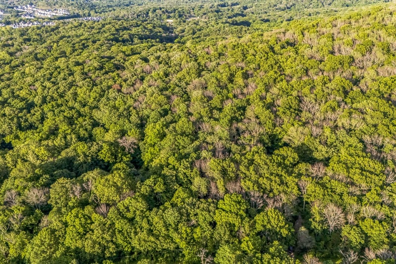 Sanford Rd, Nolensville, TN 37135