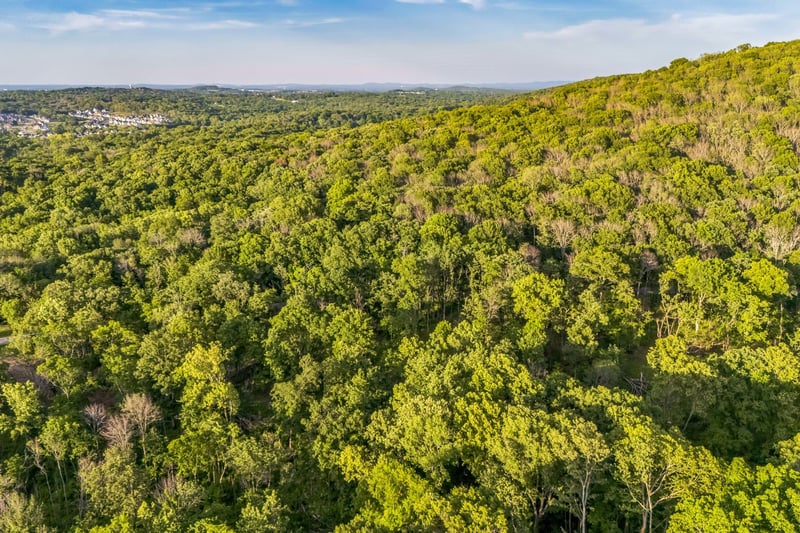 Sanford Rd, Nolensville, TN 37135