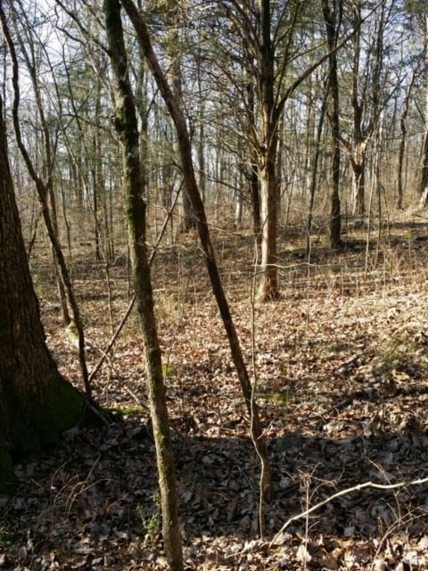 1529 Hyde Ln, Brentwood, TN 37027