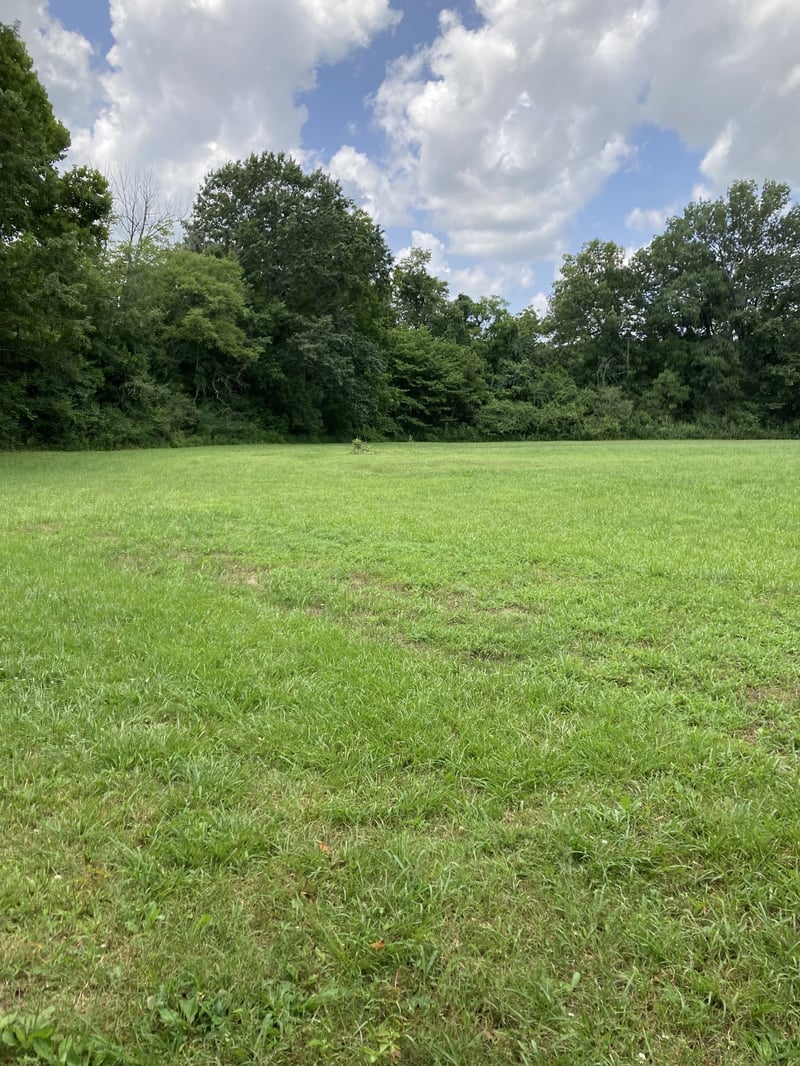 6897 Comstock Rd, College Grove, TN 37046