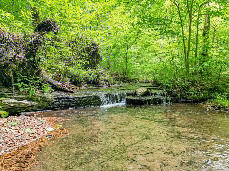 5568 Parker Branch Rd, Franklin, TN 37064