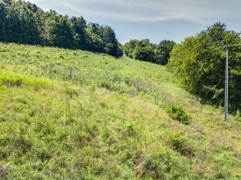 0 Giles Hill Rd, College Grove, TN 37046