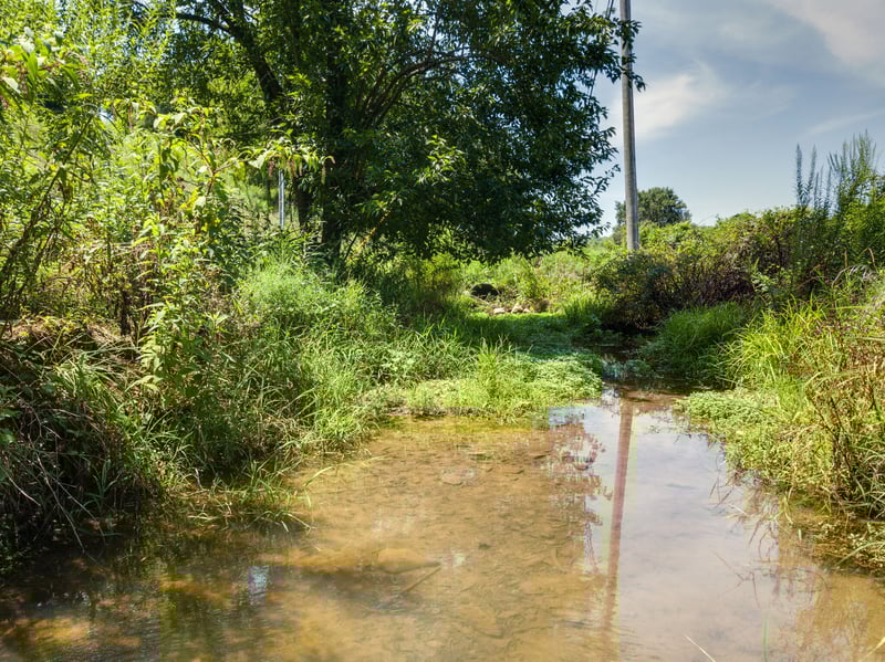 0 Giles Hill Rd, College Grove, TN 37046